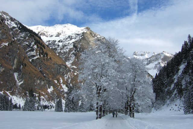 Der USA Bären-Thread 378288