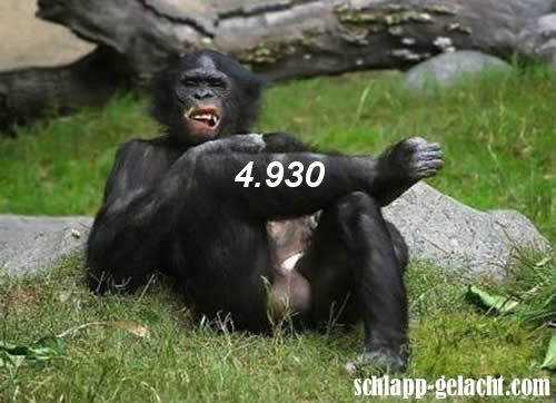 913.DAX Tipp-Spiel *Dienstag* 11.11.08, 17.45 Uhr 198500