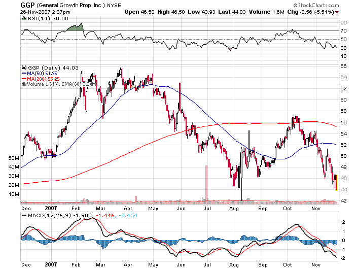 Der USA Bären-Thread 133104