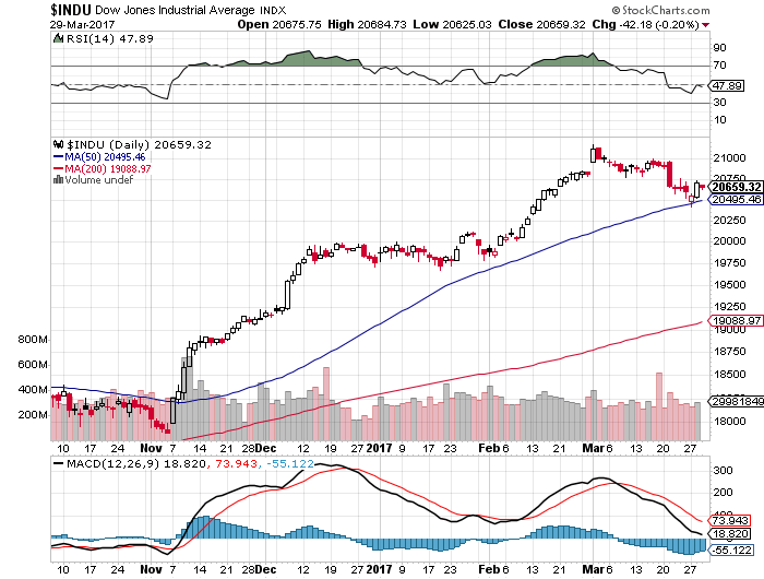 Der USA Bären-Thread 980811