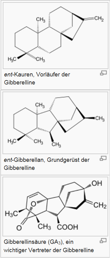 Ab hier geht ´s nach oben - Sunwin - Stevia 763380