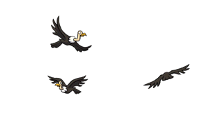 Guter Start nach dem Re-split 1321008