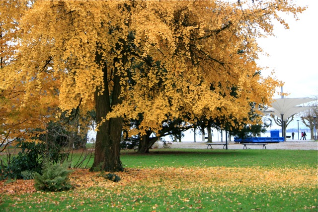 Gold traden - long bzw. short 865346