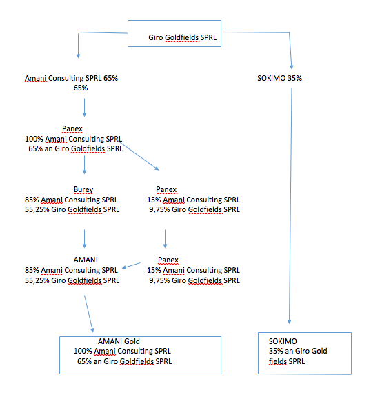Amani Gold (ehemals Burey Gold) 1000247