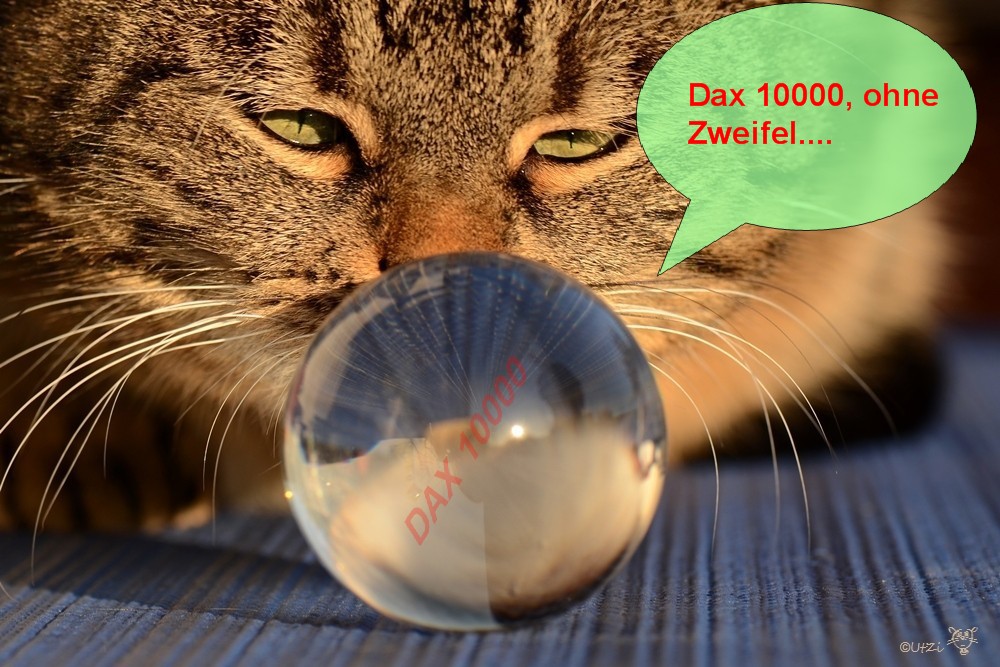 QV ultimate 2012 563508