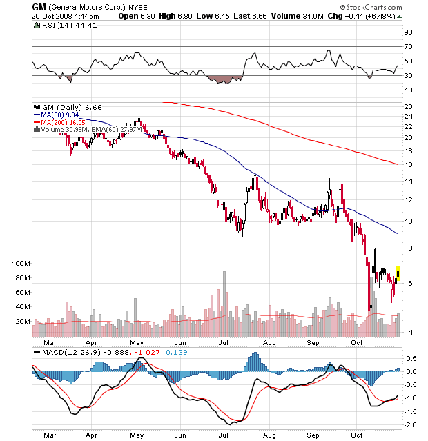 Der USA Bären-Thread 196020