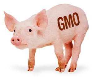 Positive Zukunft mit Verity Corp.(VRTY) 646237