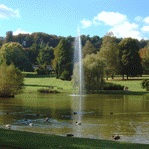 Thompson Creek Metals (Blue Pearl Mng) 144948