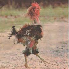 q-loud & die neue QSC AG 1463499