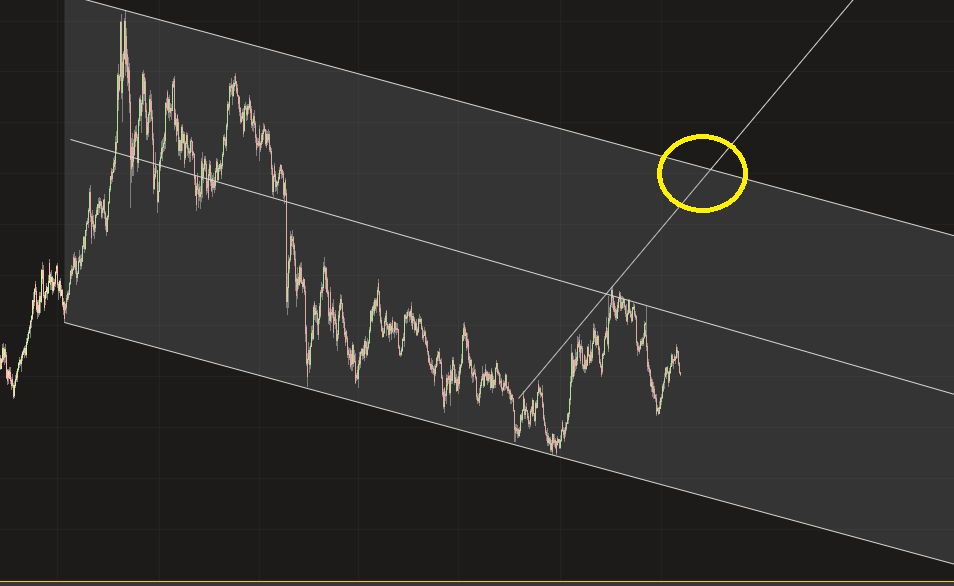 Goldminenaktien viel zu billig 976782