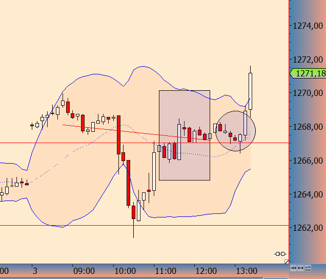 knock-outs unlimited 753572