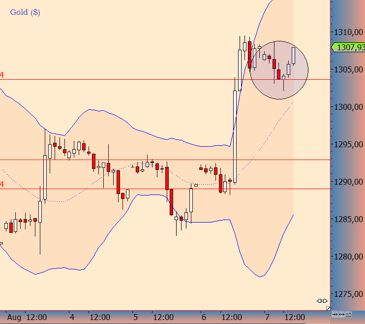 knock-outs unlimited 747033