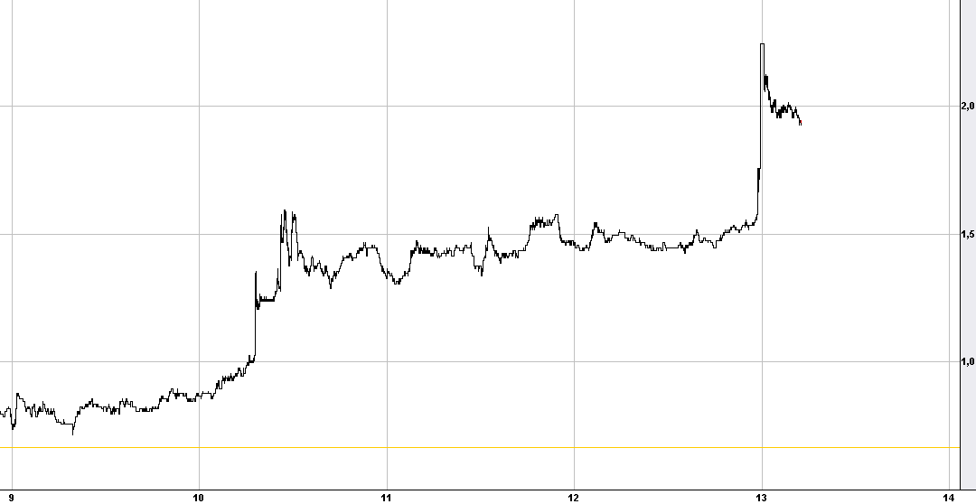 knock-outs unlimited 758768