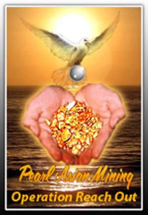 PEARL ASIAN nächster 10000%er? 39806