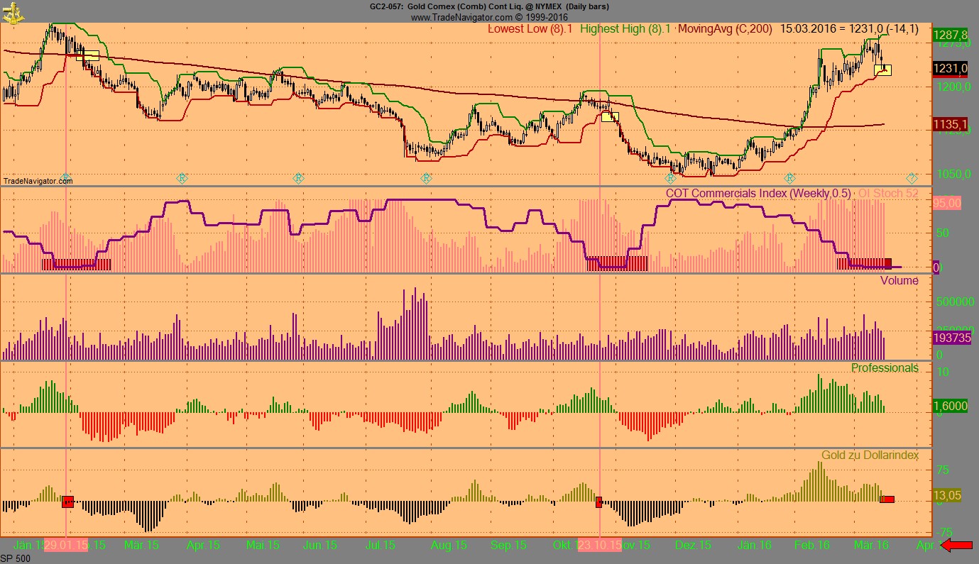 Endlich erfolgreiches Trading mit Rohstoffen 901037