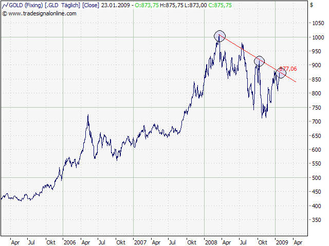 Der USA Bären-Thread 212294
