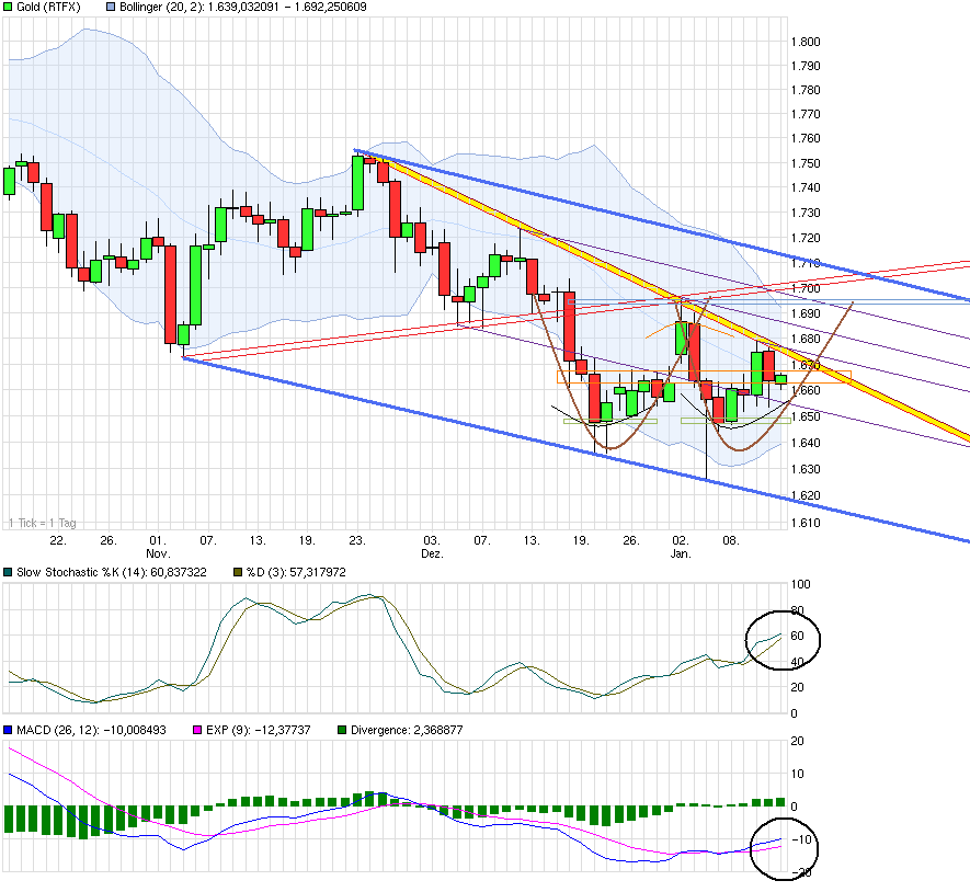Gold shorten? 569187