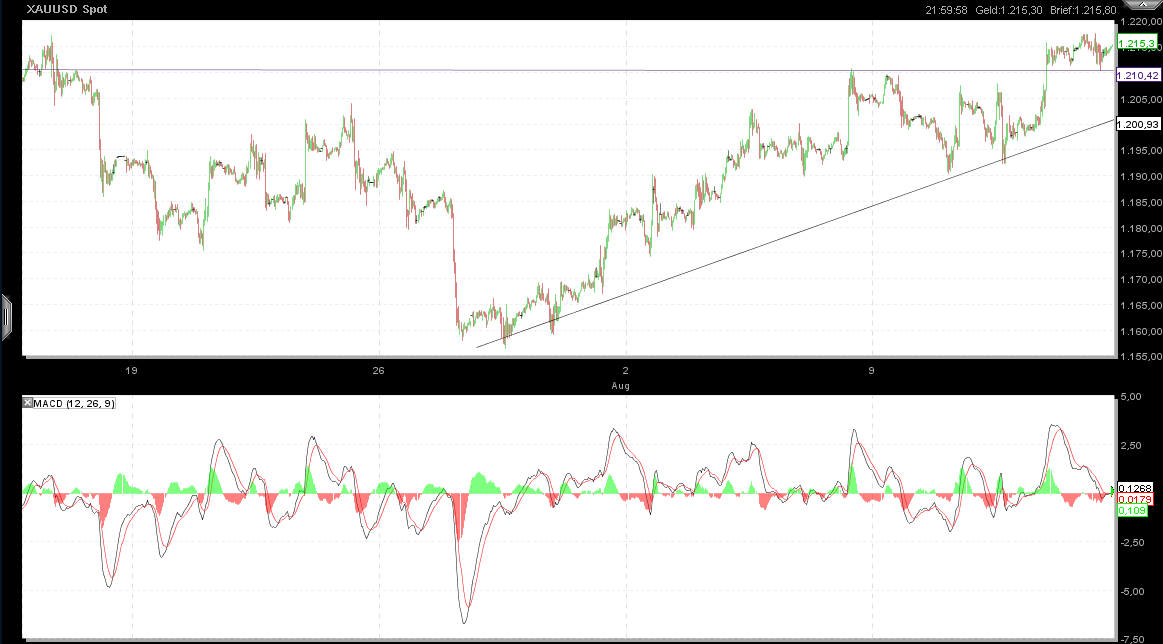 Gundels kleine Marktanalyse 338012