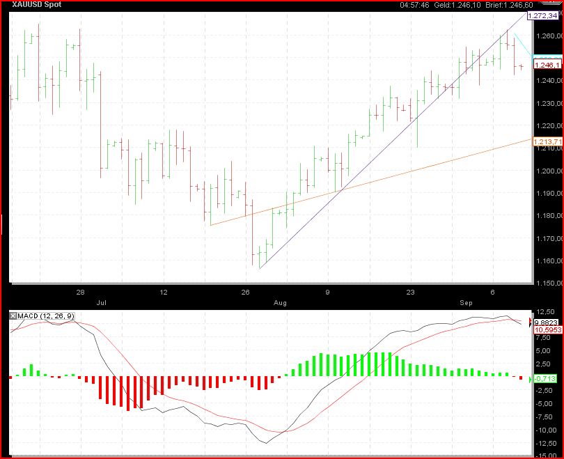 Gundels kleine Marktanalyse 344131