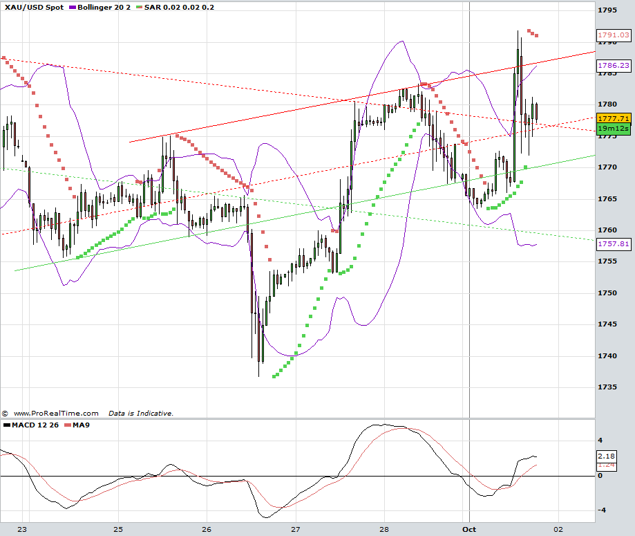 Wesleys Flugschule - US Auslese 541254