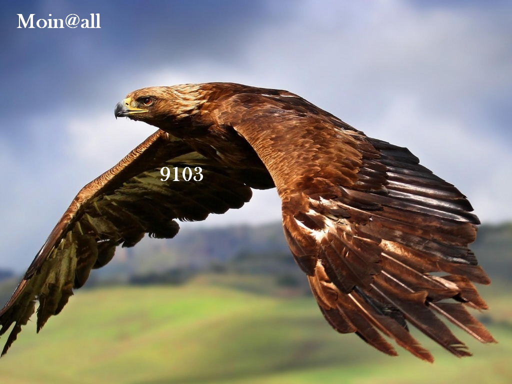 2.189.DAX Tipp-Spiel, Mittwoch, 13.11.2013 663695