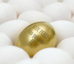 Thompson Creek Metals (Blue Pearl Mng) 97421