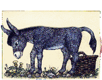 MOTO GOLDMINES CUFS 1/5 1.000%-Chance???? 32477