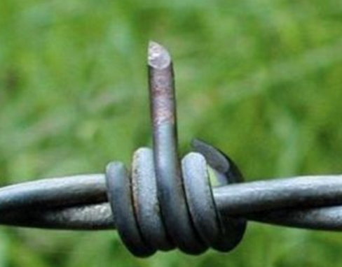 Conergy, Pro und Contra... 352386