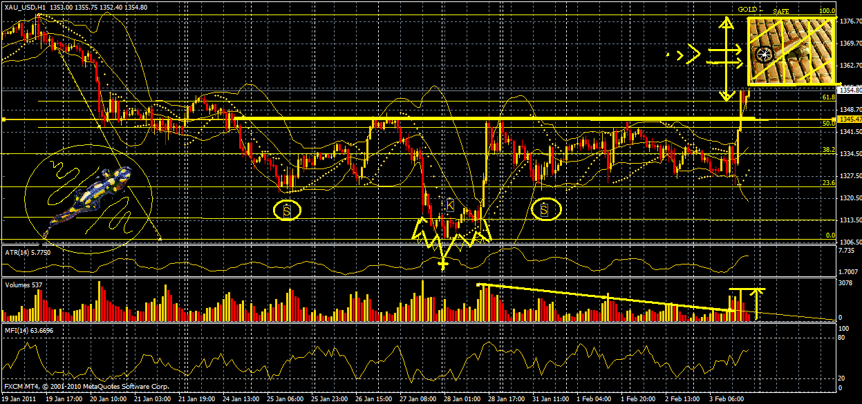 Quo Vadis Dax 2011 - All Time High? 378186