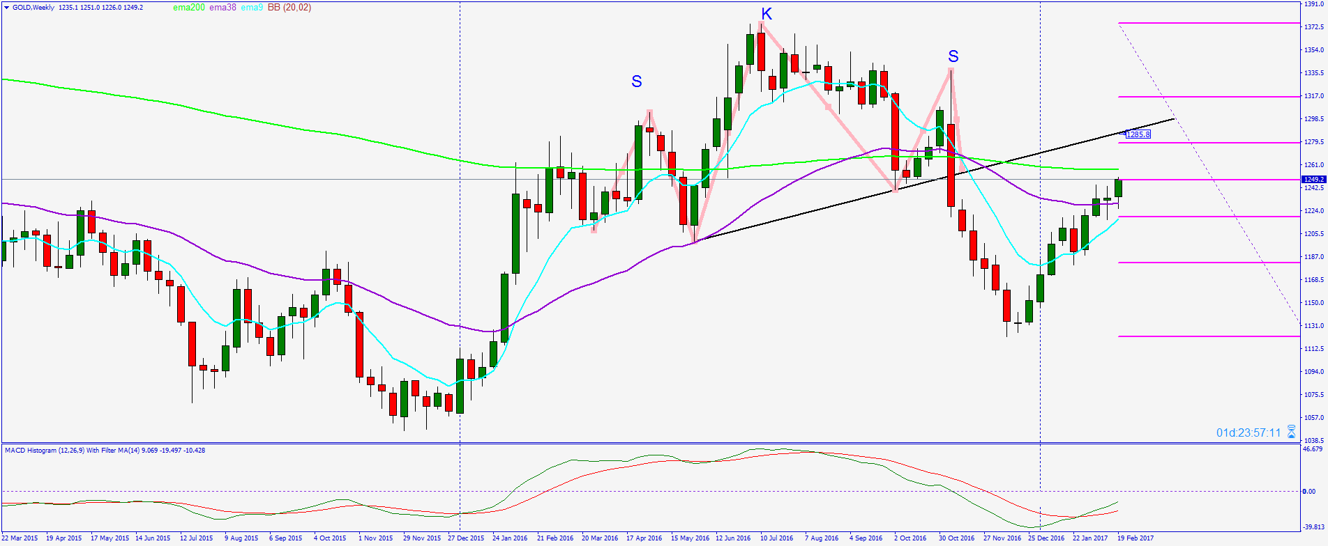 2017 QV-GDAXi-DJ-GOLD-EURUSD-JPY 973782