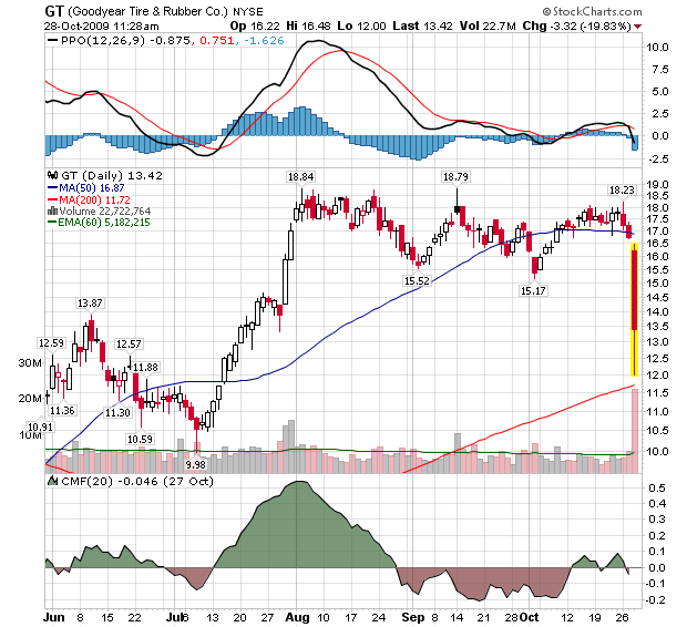 Der USA Bären-Thread 270658