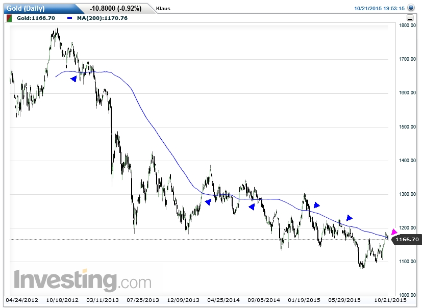 Der USA Bären-Thread 866228