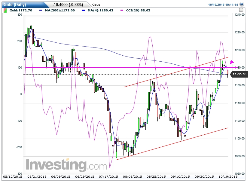 Der USA Bären-Thread 865694