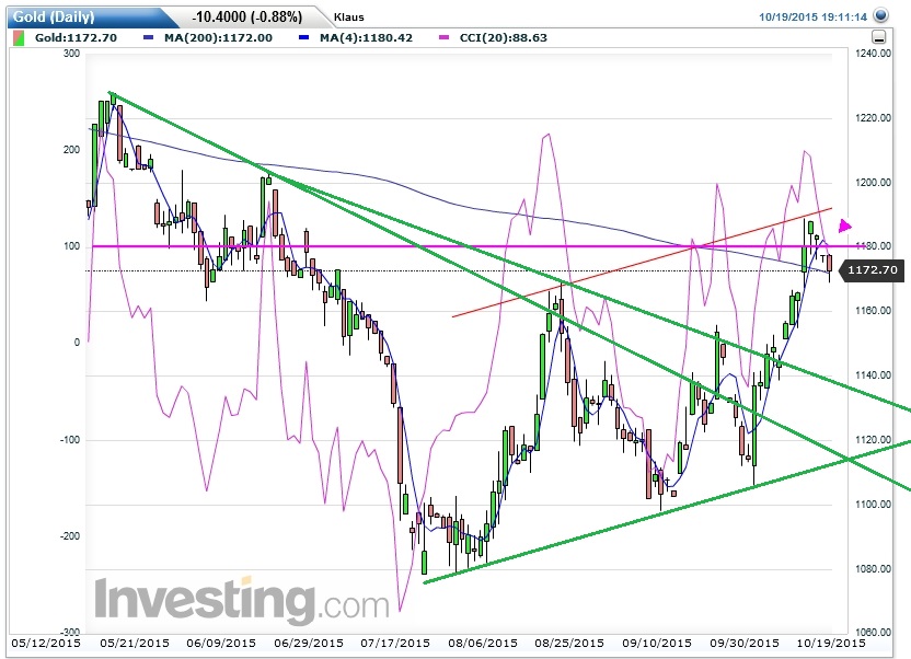 Der USA Bären-Thread 865939