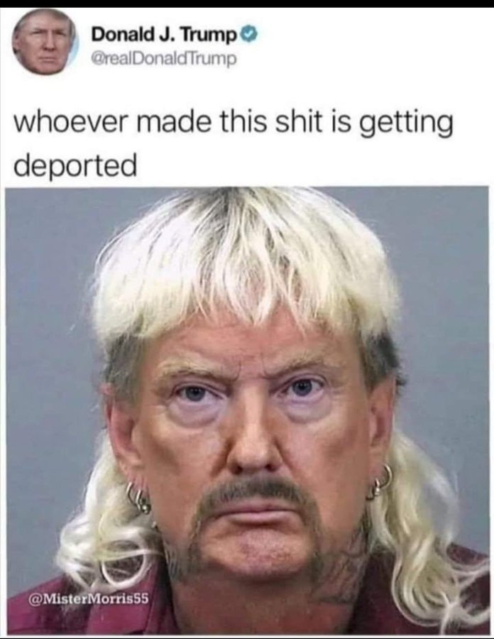 TESLA Aktie A1CX3T - wann platzt die Blase? 1485346