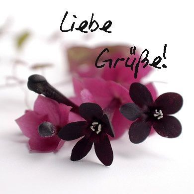 1008. DAX-Tipp-Spiel Dienstag 31.03.2009.17.45 Uhr 225059