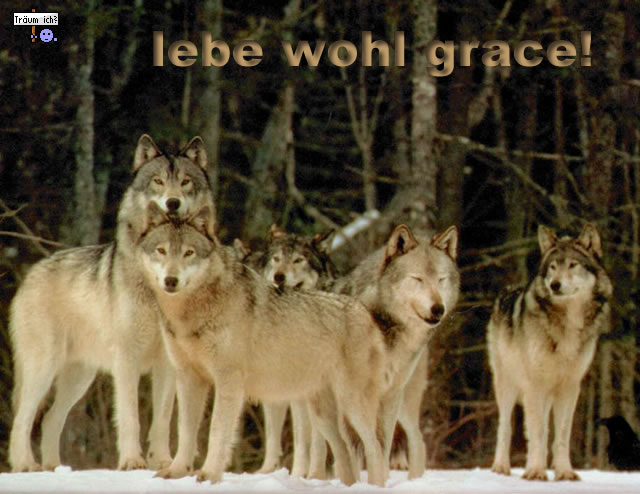 grace - er ist enttarnt !! 27843