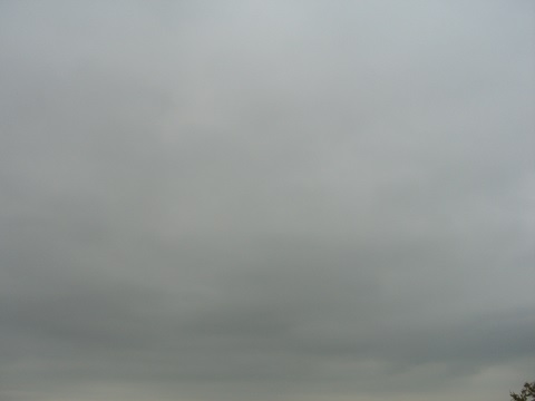 Wenn das Gold redet, dann schweigt die Welt! 818232