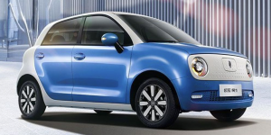 Great Wall Motor 1200525