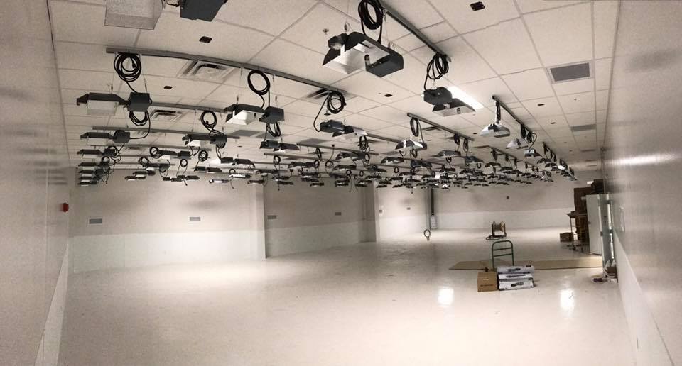 General Cannabis - Wkn: A14VV9 - Aktie 1004399