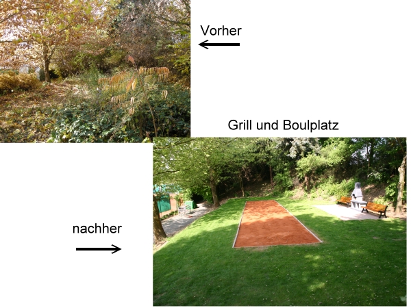 QV ultimate 2012 496621