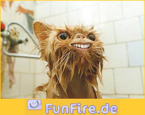 S H O R T 50.000 Premiere Aktien 205965