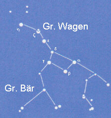 Der Bär erhält Platzverweis 128323