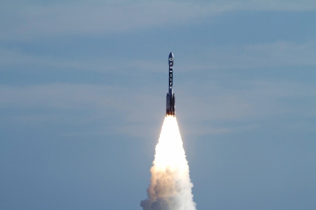 Drug-Stocks im Aufwind 680268