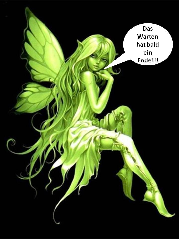 VW - mysteriöse Entwicklung im Open Interest 365212