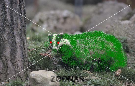 642.DAX Tipp-Spiel, Mittwoch, 17.10.07 126006