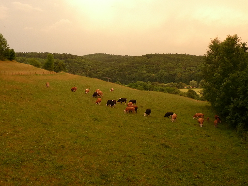 Wenn das Gold redet, dann schweigt die Welt! 215564