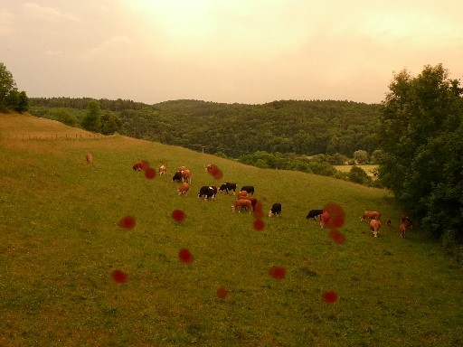 Wenn das Gold redet, dann schweigt die Welt! 215567