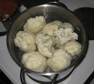 Die Bullen scharren gar nicht mit den Hufen, 185923