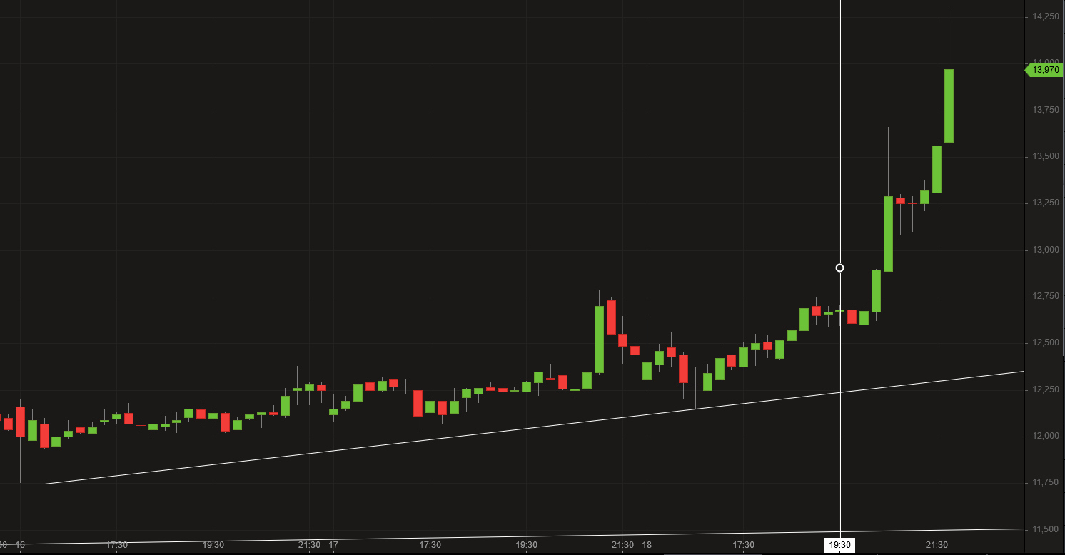 Börse ein Haifischbecken: Trade was du siehst 1234571